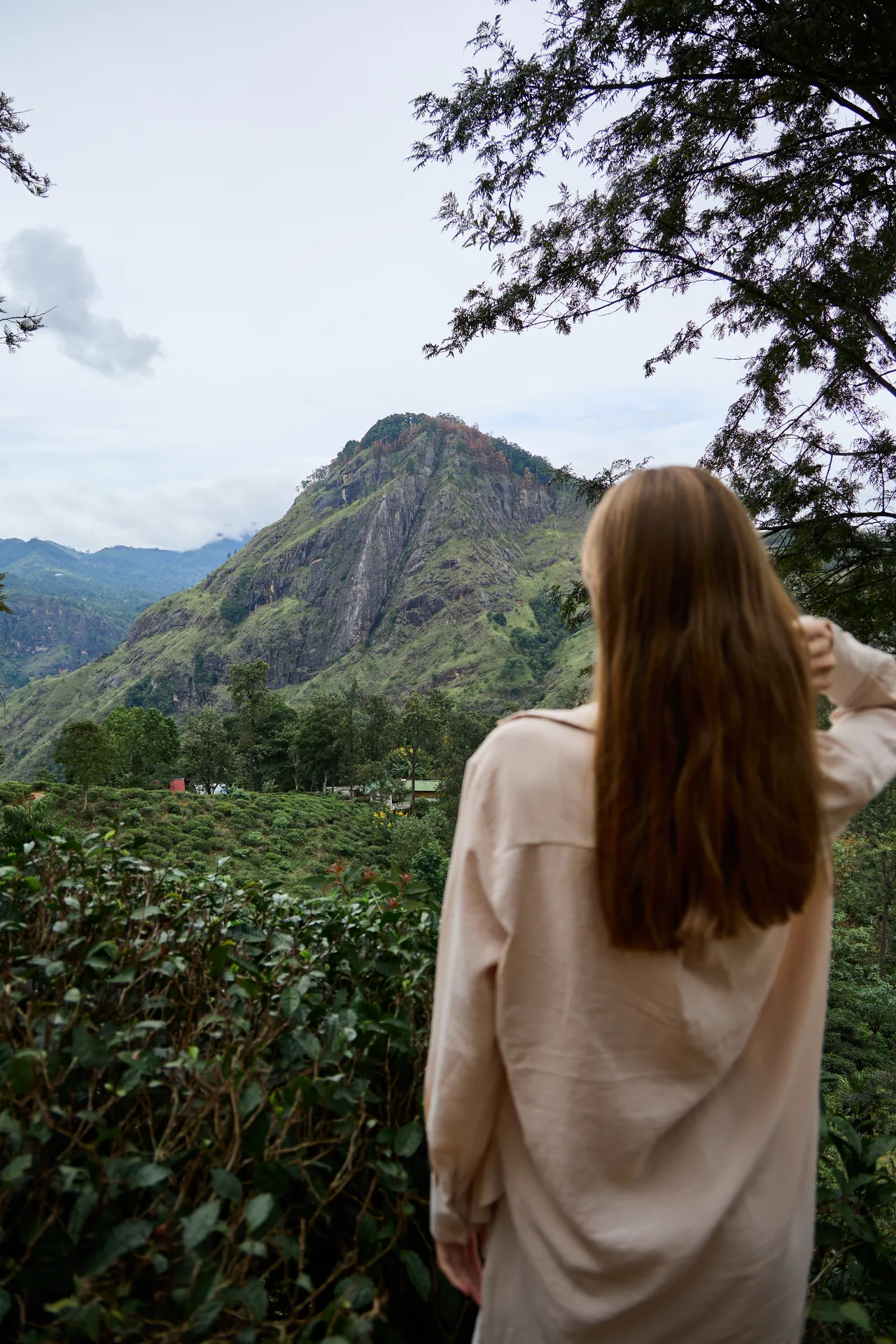 Tea plantation viewpoint on a private Sri Lanka journey