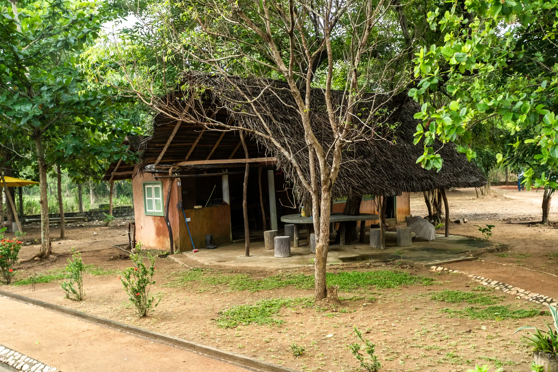 Village setting around Elephant Path